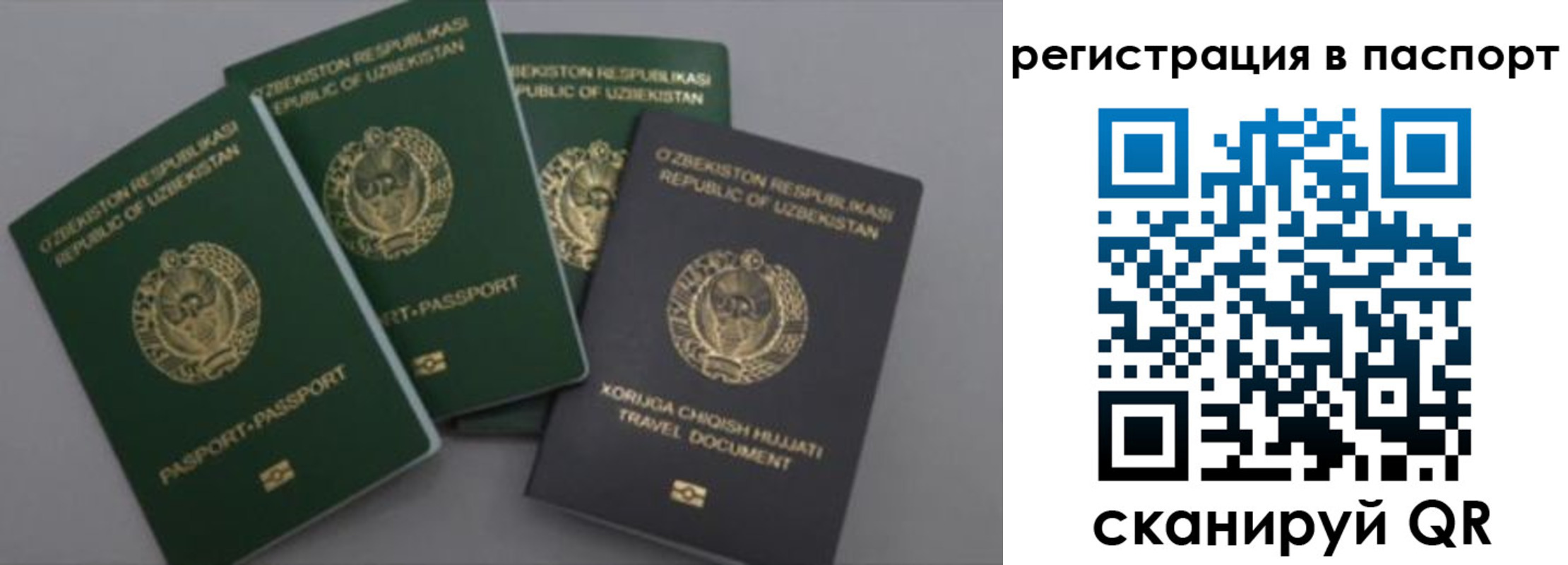 прописка от собственника в Горняке